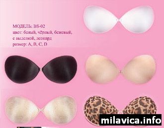 ����������� BS-02